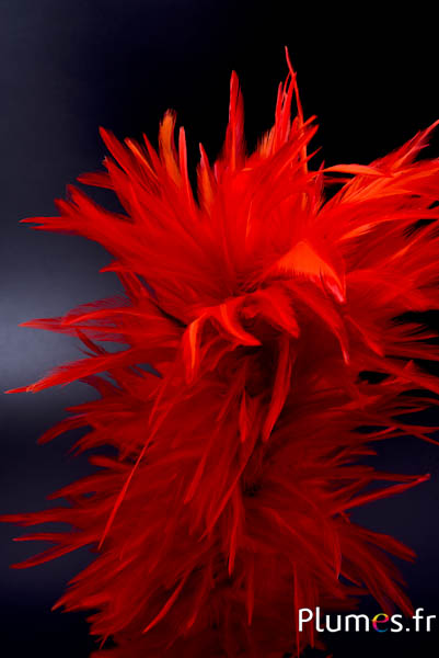 Pennacchio gallo con anello - altezza 40 cm - arancio sanguigno